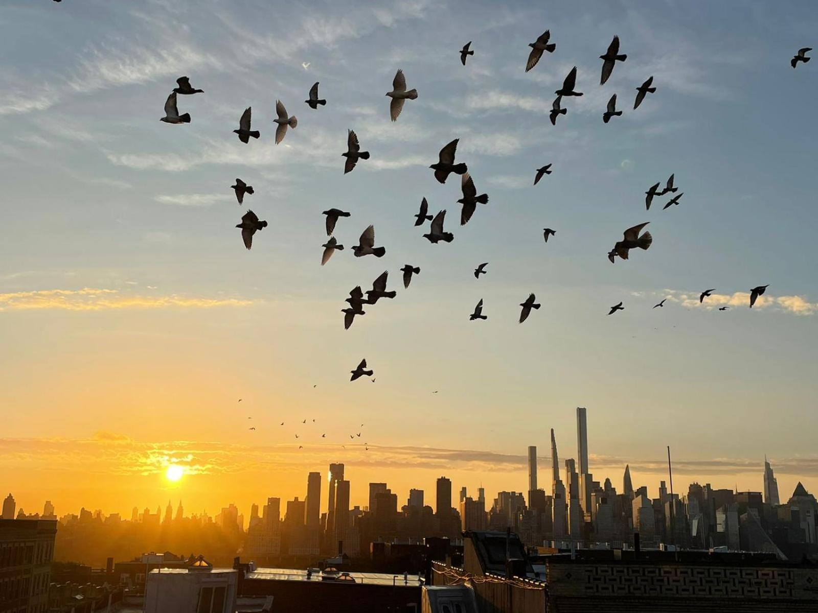 Ny Skyline One Of A Kind View Appartement Union City Buitenkant foto